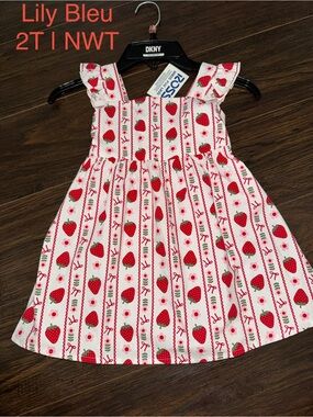 Lily Bleu Red and White Strawberry Sleeveless Dress